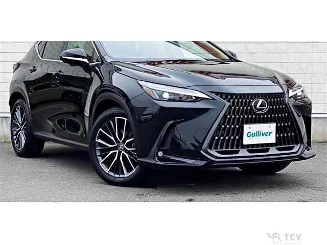 2025 Lexus NX