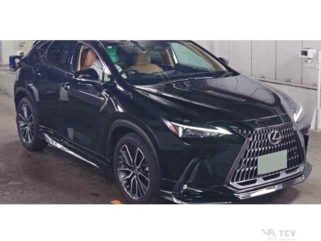 2025 Lexus NX