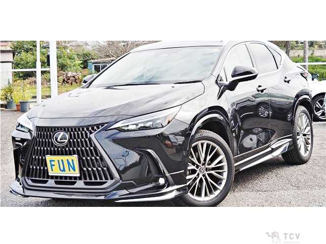2025 Lexus NX