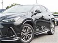 2025 Lexus NX