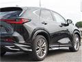 2025 Lexus NX
