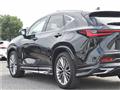 2025 Lexus NX