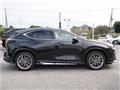 2025 Lexus NX