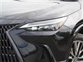 2025 Lexus NX