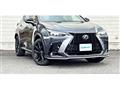 2025 Lexus NX