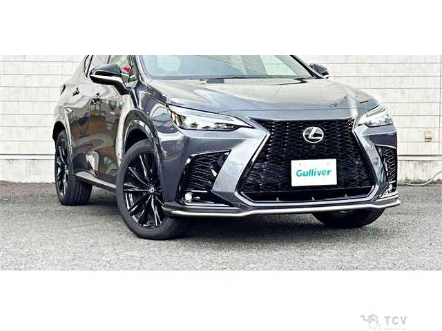 2025 Lexus NX