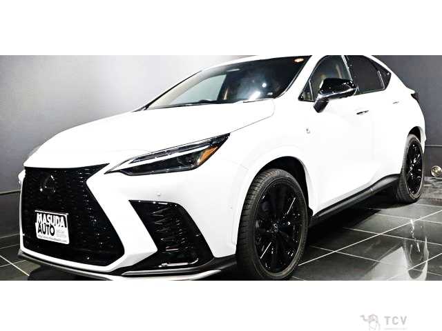 2025 Lexus NX