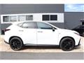 2025 Lexus NX