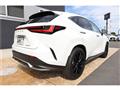 2025 Lexus NX