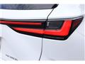 2025 Lexus NX