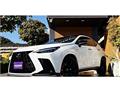 2025 Lexus NX