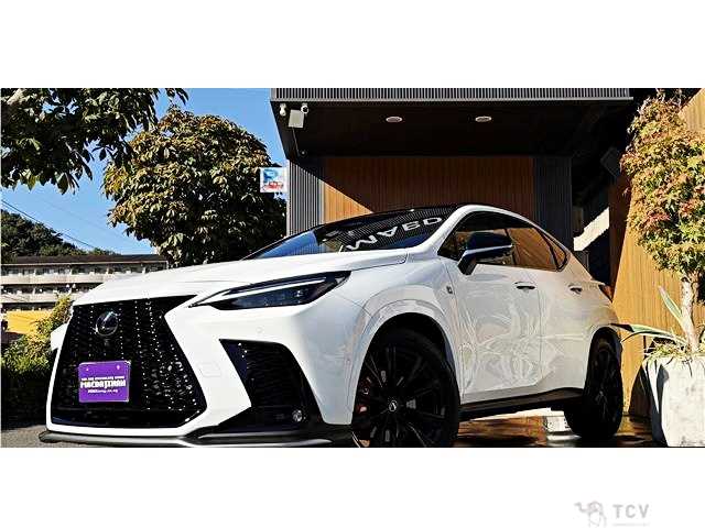 2025 Lexus NX
