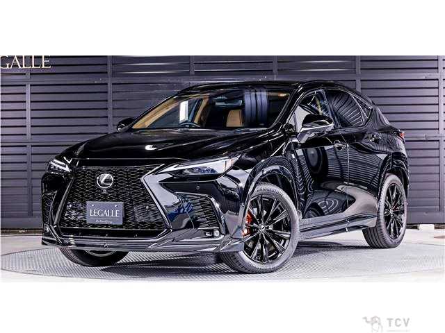 2025 Lexus NX