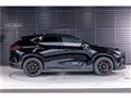 2025 Lexus NX