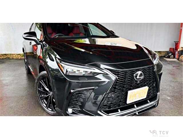 2025 Lexus NX