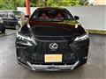 2025 Lexus NX