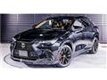 2025 Lexus NX