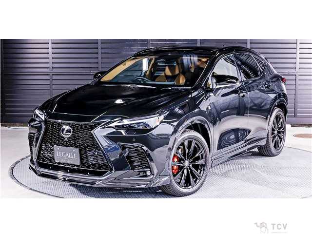 2025 Lexus NX