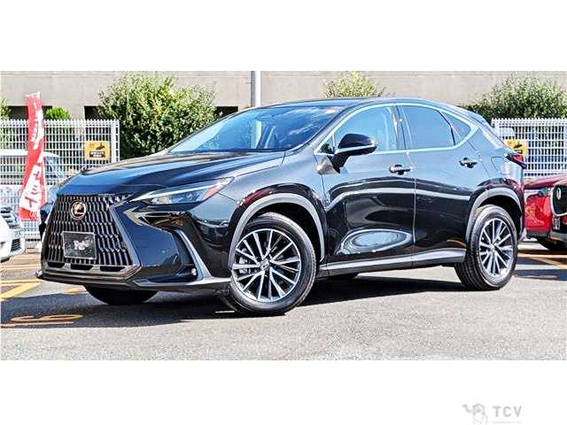2024 Lexus NX