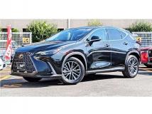 2024 Lexus NX