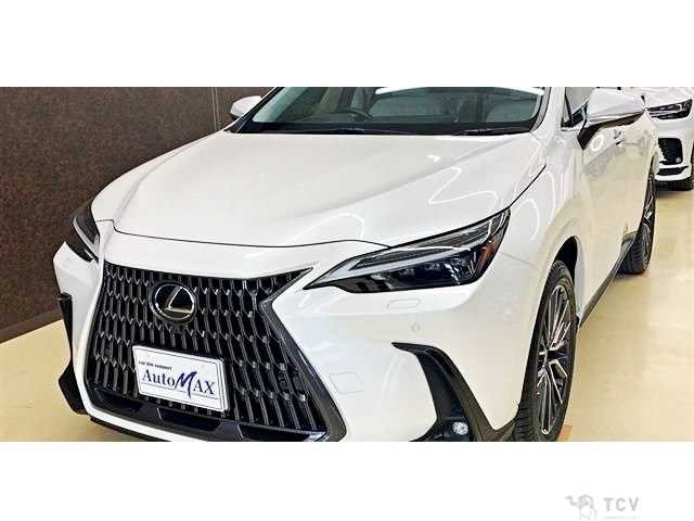 2024 Lexus NX