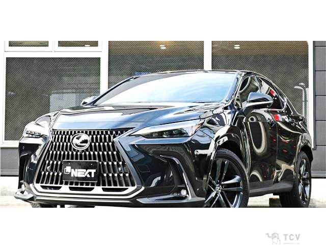 2024 Lexus NX