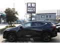 2024 Lexus NX