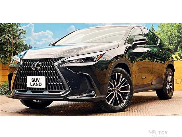 2024 Lexus NX