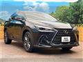 2024 Lexus NX