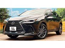 2024 Lexus NX