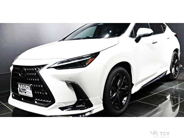2024 Lexus NX