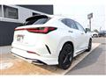 2024 Lexus NX