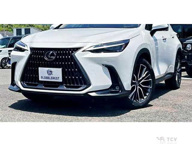 2024 Lexus NX