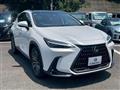 2024 Lexus NX