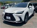 2024 Lexus NX