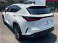 2024 Lexus NX