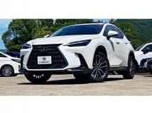 2024 Lexus NX