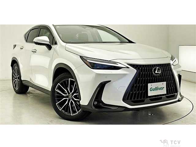 2024 Lexus NX