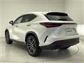2024 Lexus NX