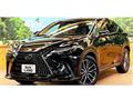 2024 Lexus NX