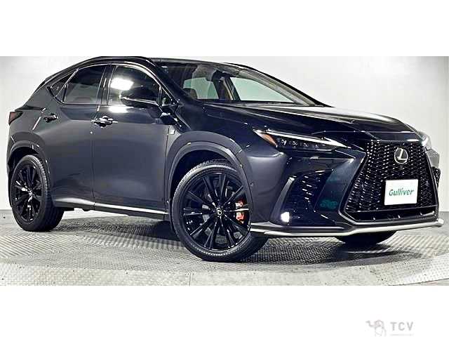 2024 Lexus NX