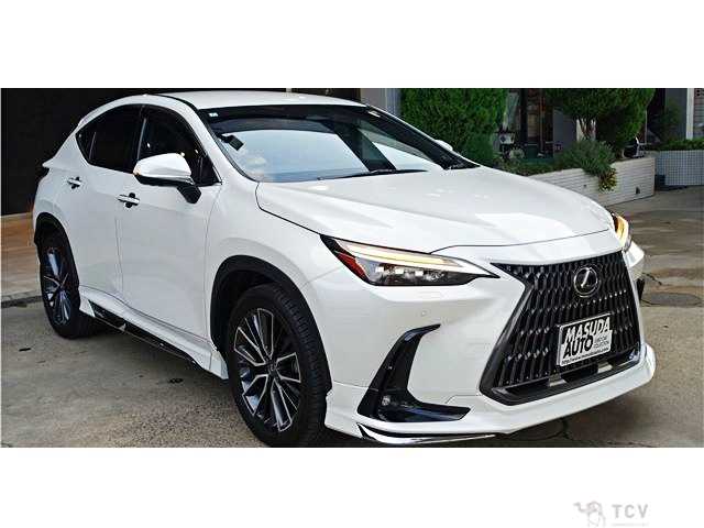 2024 Lexus NX