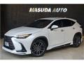 2024 Lexus NX