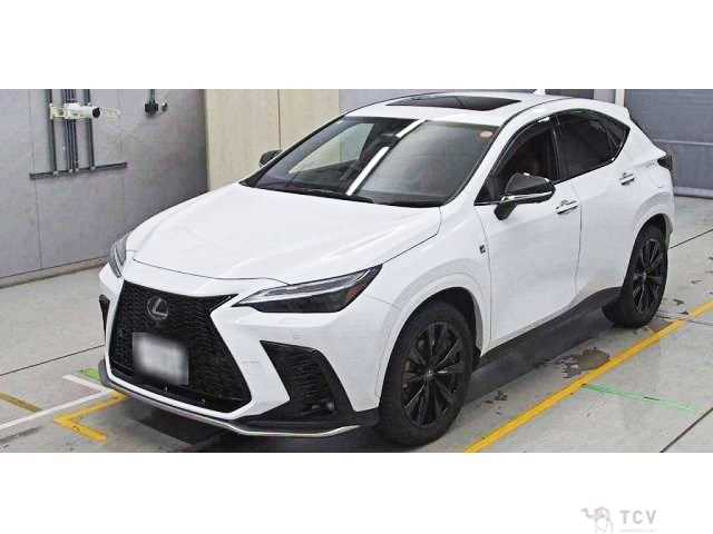 2024 Lexus NX