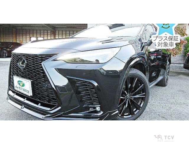 2024 Lexus NX