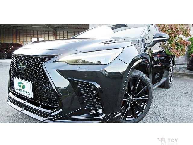 2024 Lexus NX