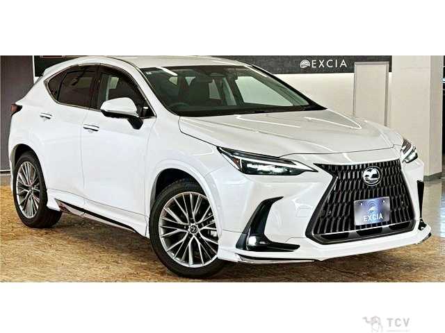 2024 Lexus NX