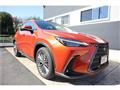 2024 Lexus NX