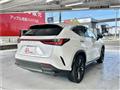 2024 Lexus NX