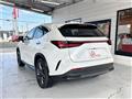 2024 Lexus NX